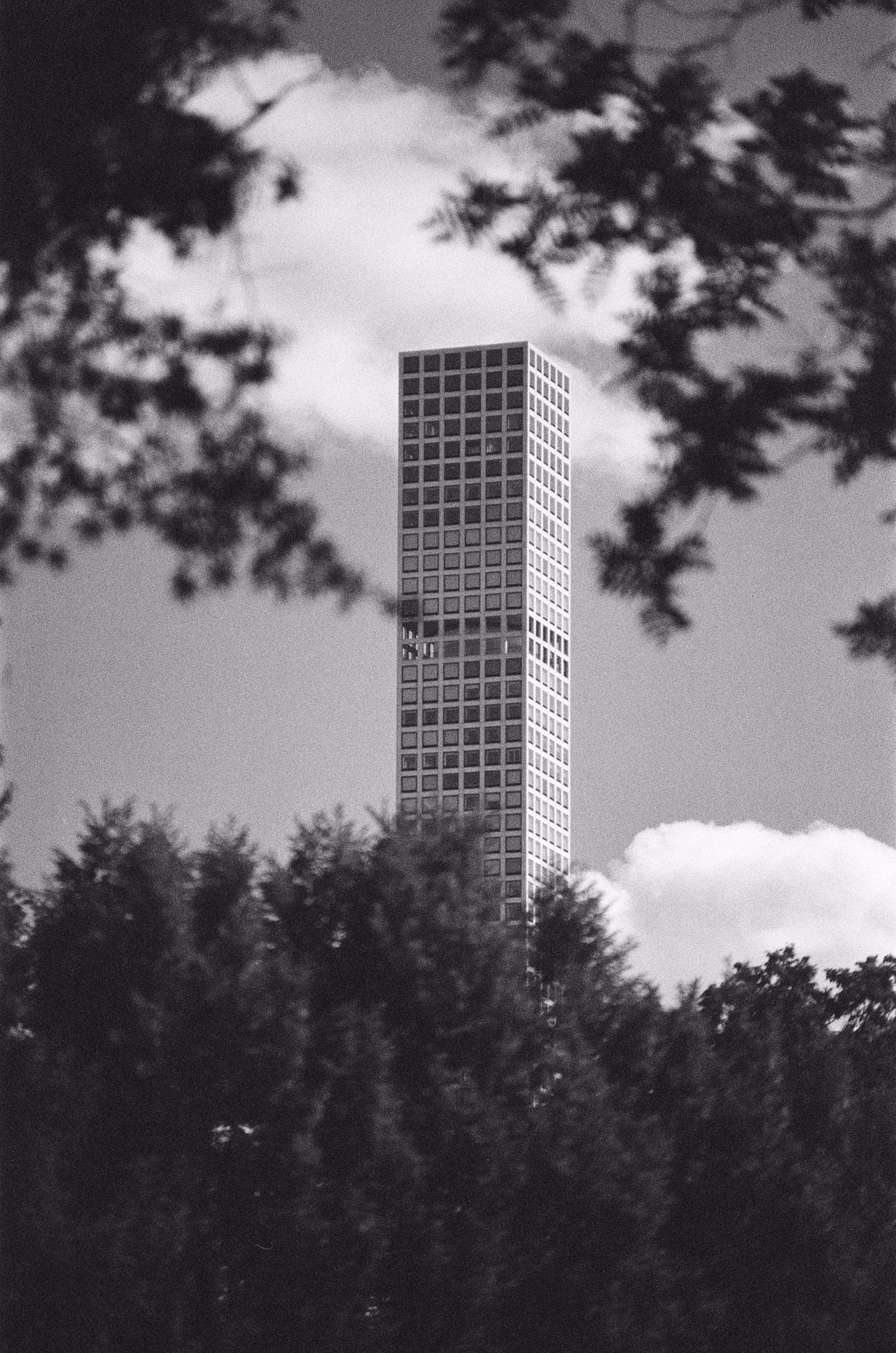 Black and White Experimentation Spring 2025