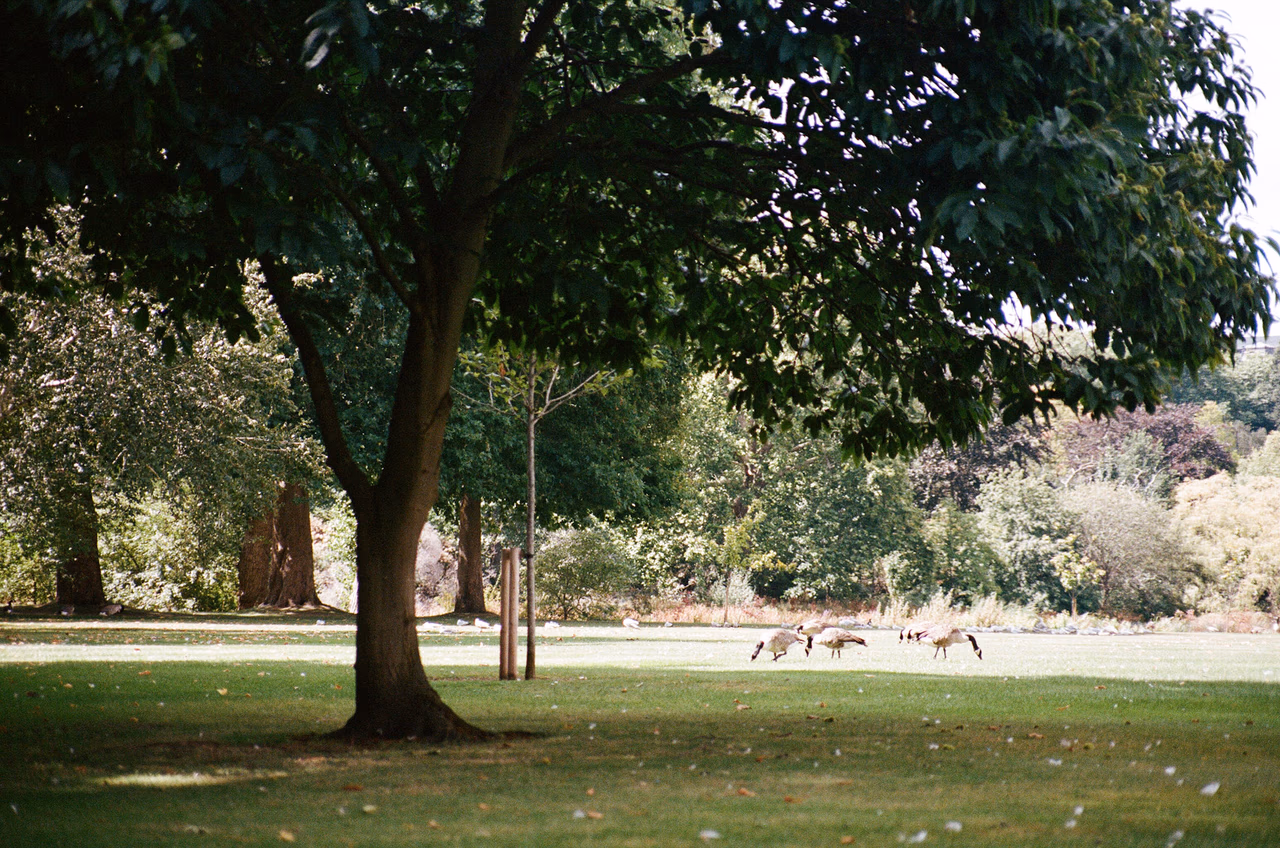 51920012.JPG