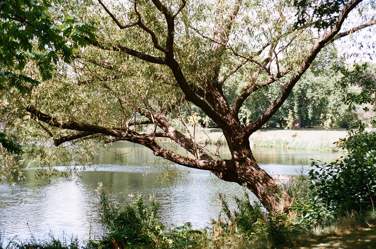 51920017.JPG