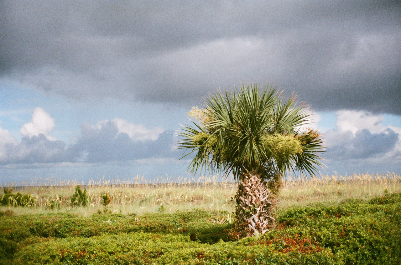 Hilton Head