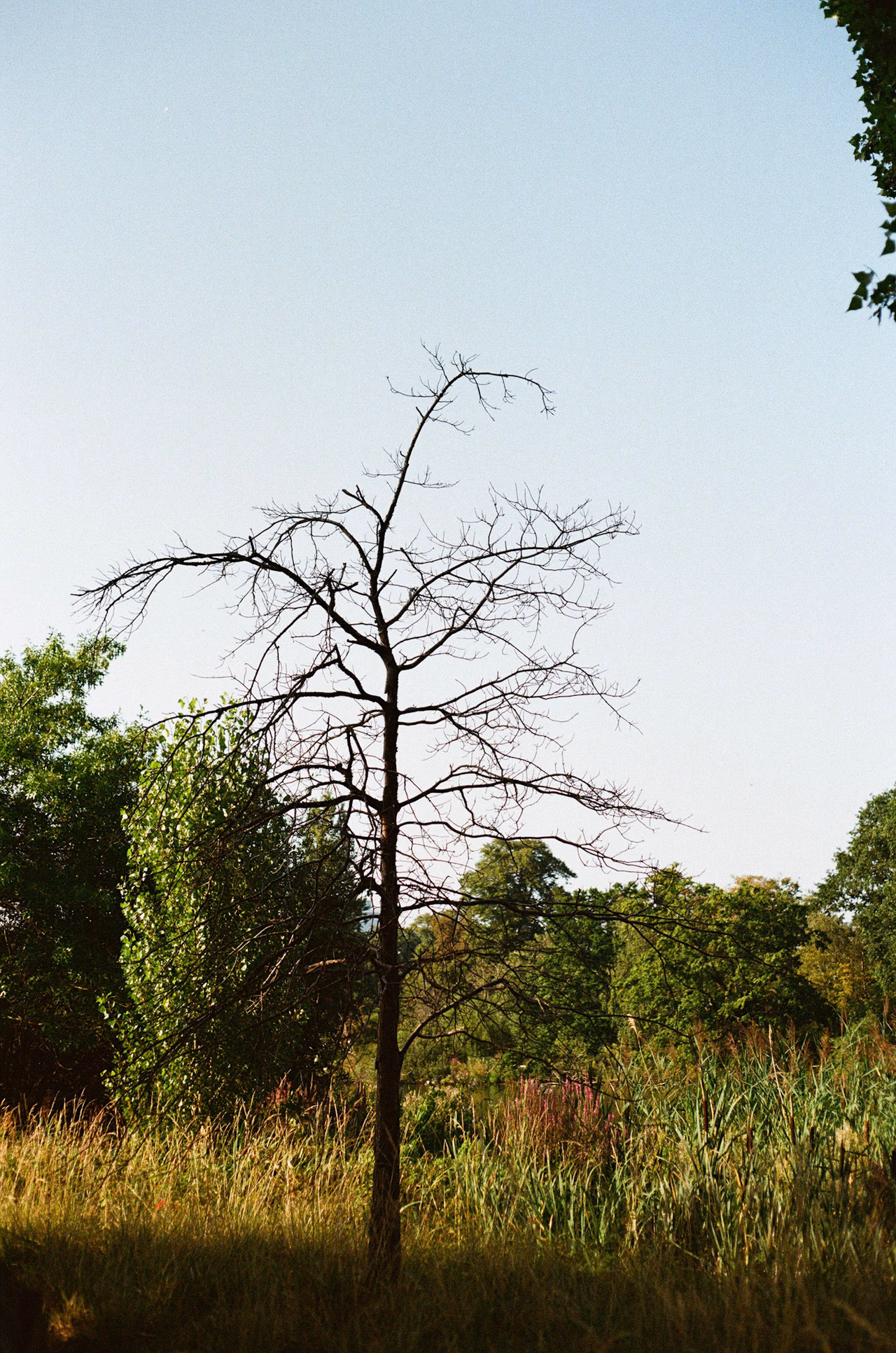 51930026.JPG