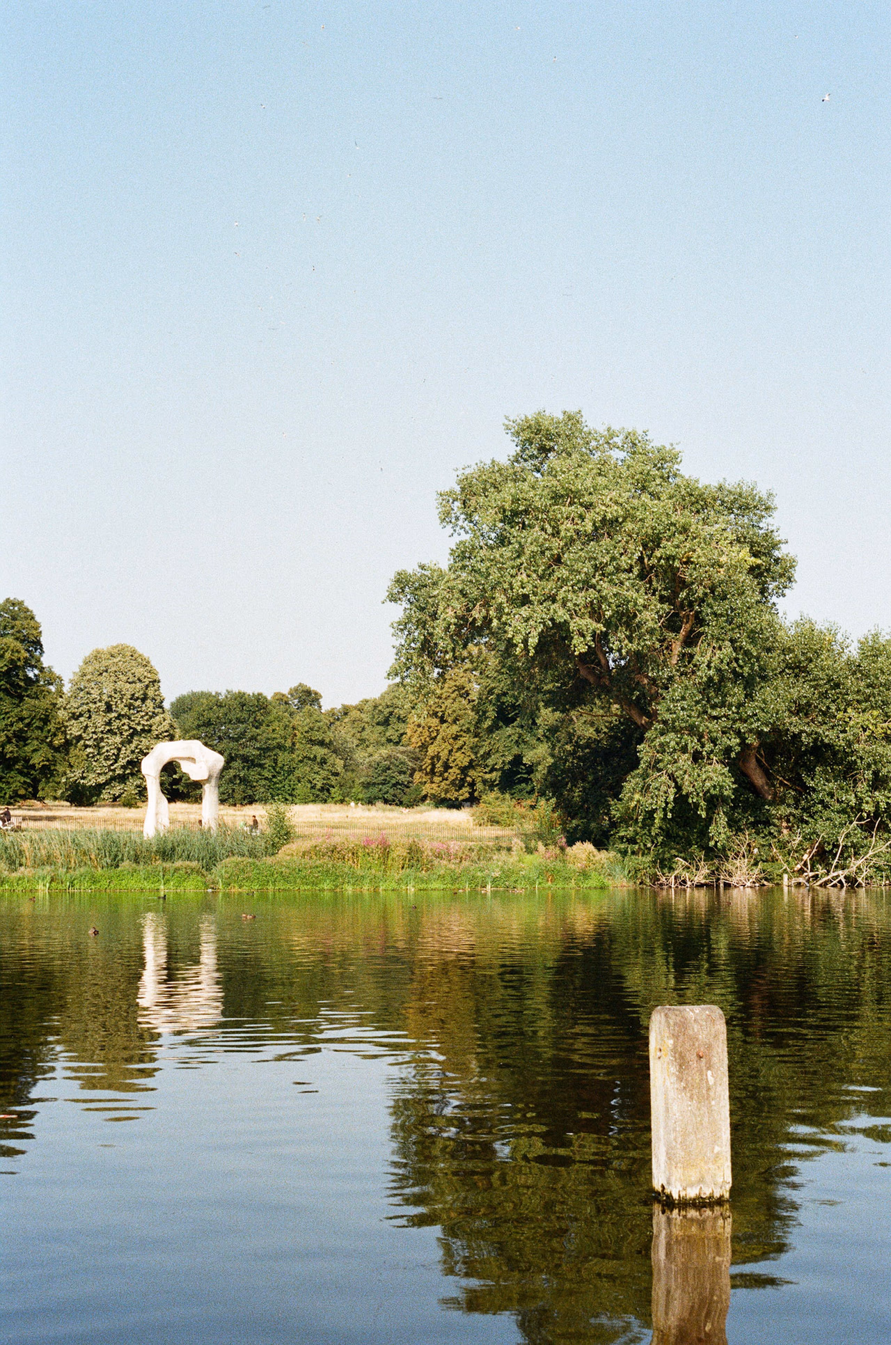 51930027.JPG
