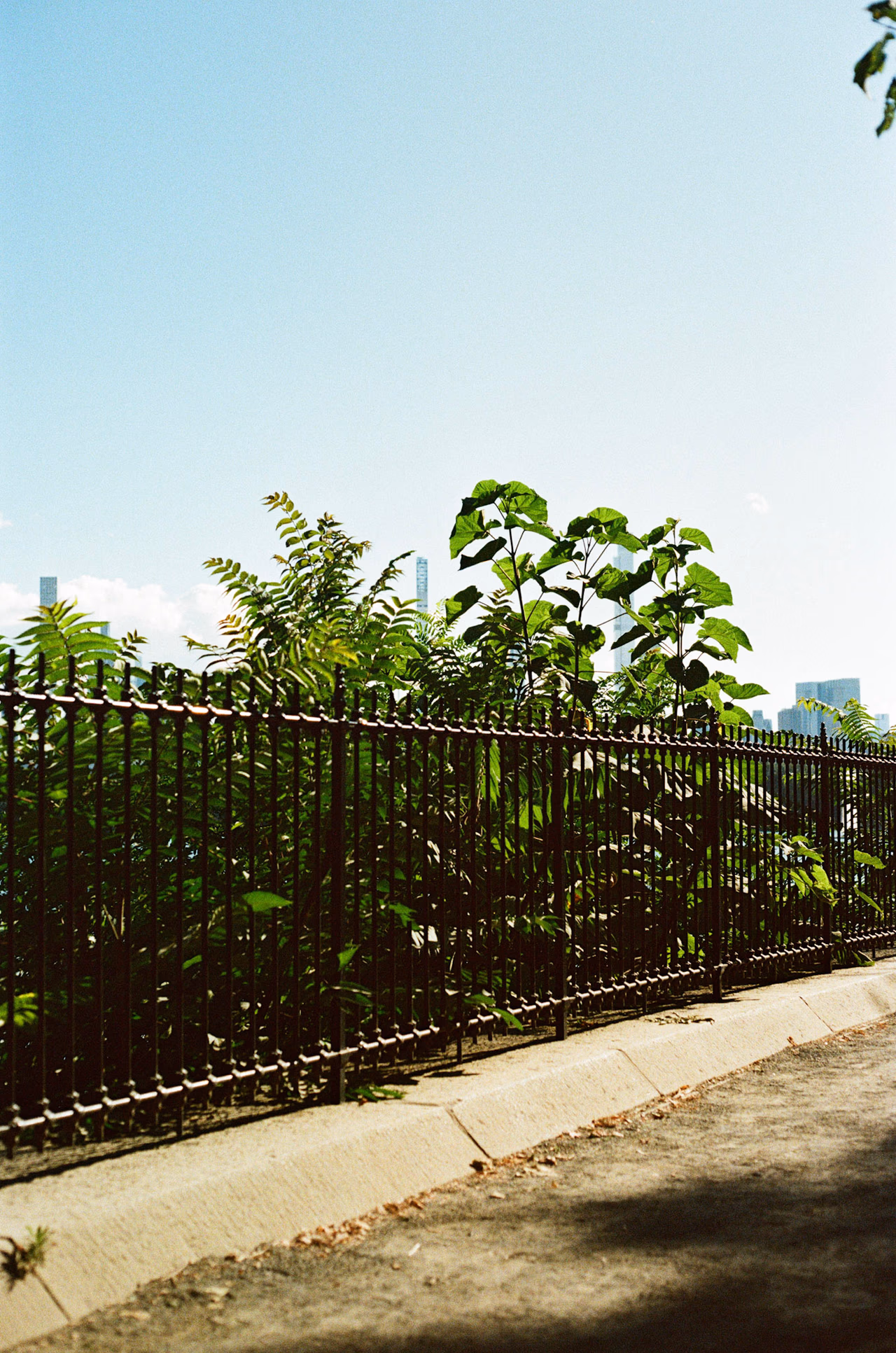 Labor Day in the Upper East Side