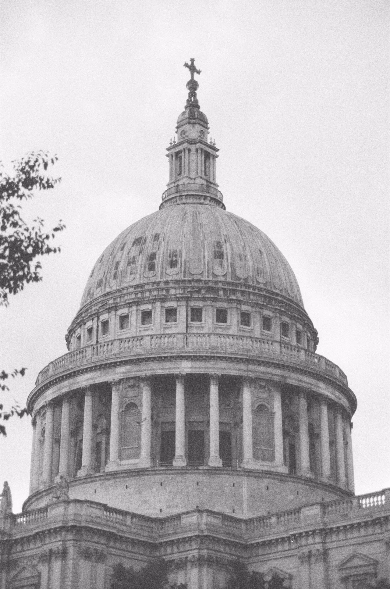 52220012.JPG